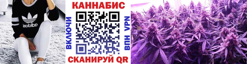 Канабис гибрид  купить наркотики сайты  Дегтярск 